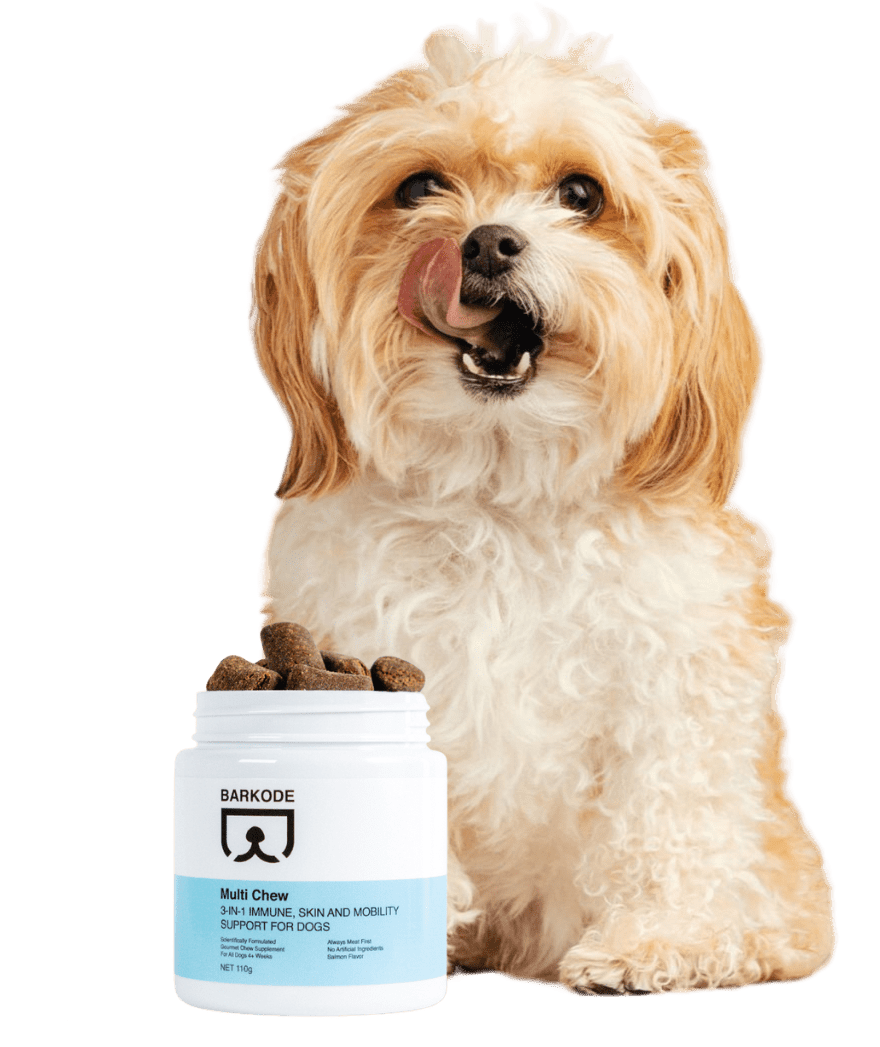 Câine cu Multi Chew
