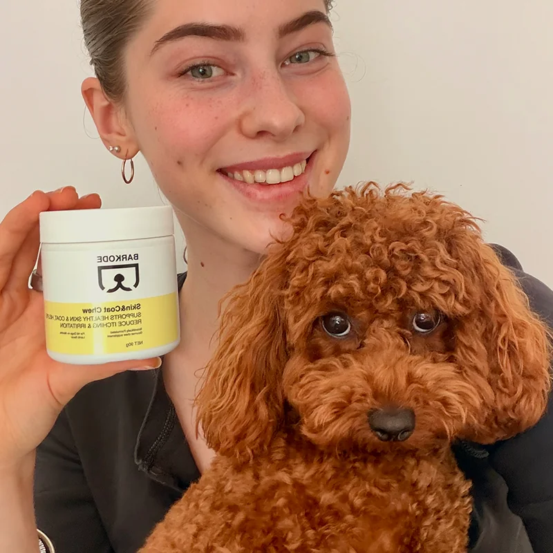 Stăpână ținând un borcan de Skin & Coat Chew lângă pudelul ei toy roșcat