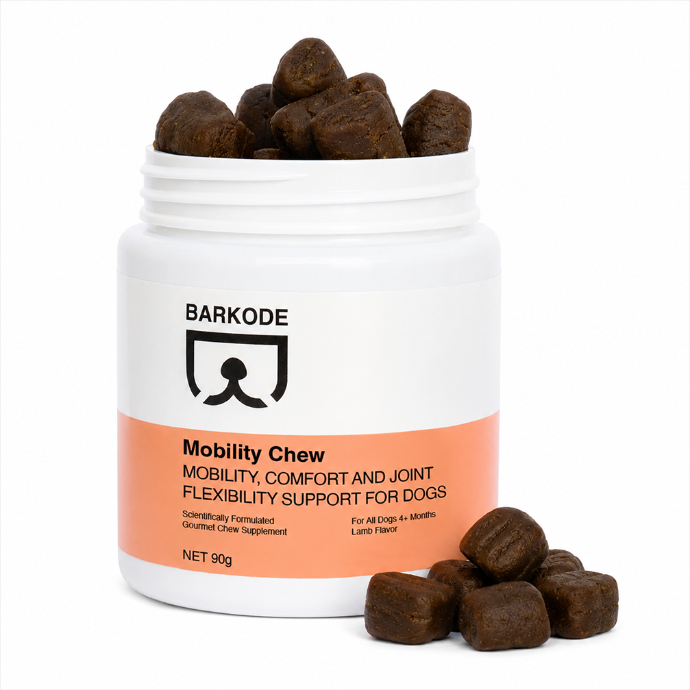 Un pachet cu 1 borcan de BARKODE Mobility Chew
