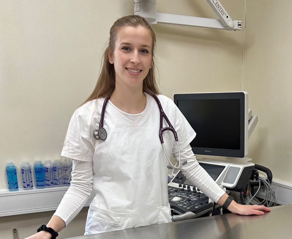 Un veterinar care examinează un câine în clinică