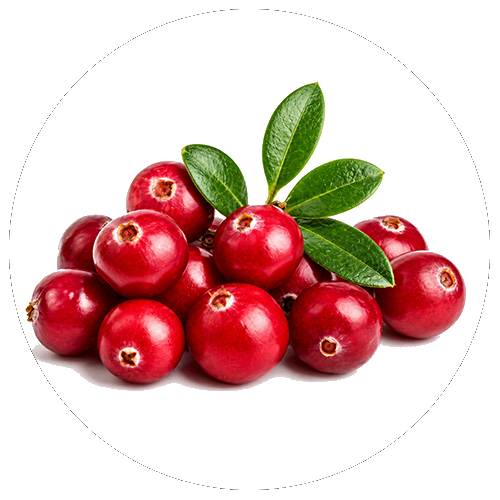 Zinc (chelat)